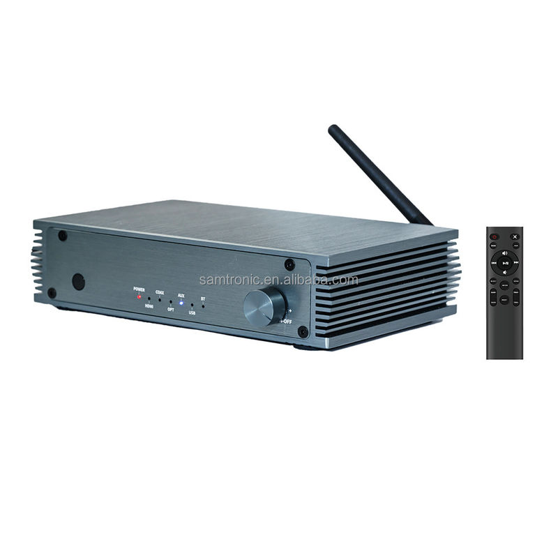 100W*2 Power Rating Metal Hifi Amplifier for Immersive Home Theater Experience